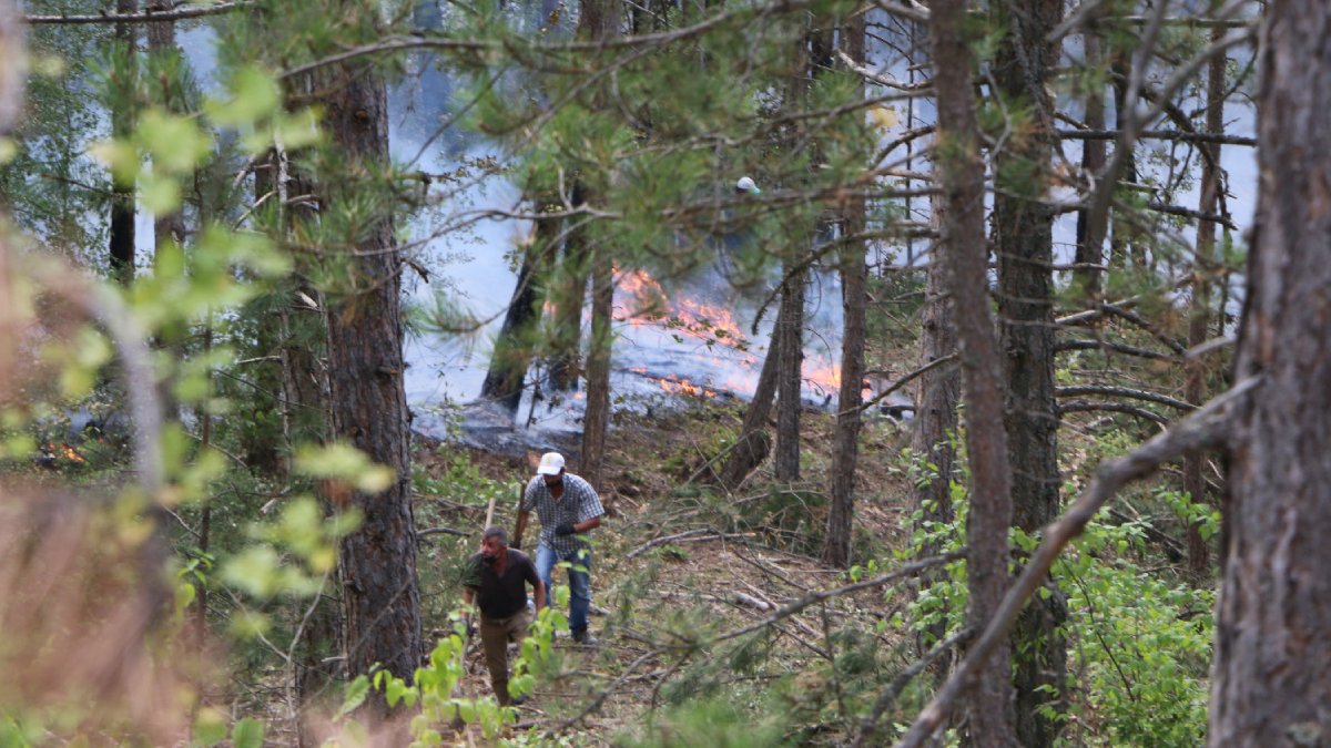 Bolu'daki yangına 3 noktada soğutma çalışması