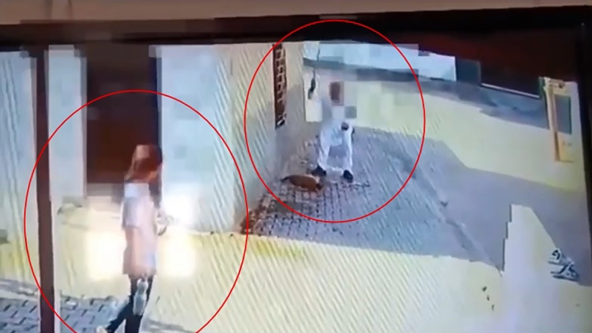 Bu nasıl vicdansızlık! Yavru köpeği demir çubukla defalarca vurarak katletti