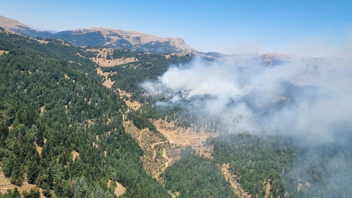 Deprem bölgesi Maraş'ta orman yangını