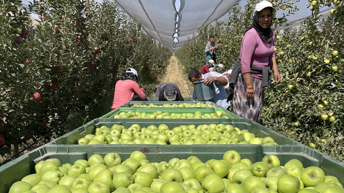 CHP'li Akgün Alp: Üreticiler perişan durumda