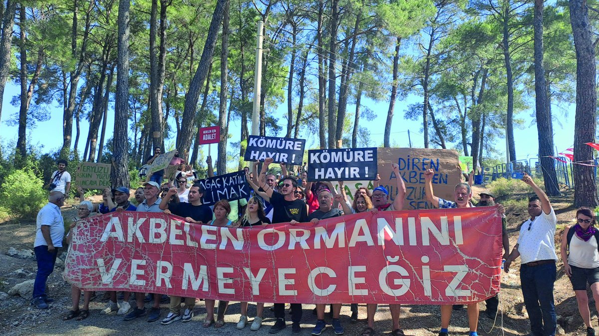 BM, 'doğa katliamı'na sessiz kalmadı! Limak'la yapılan anlaşma bozuldu