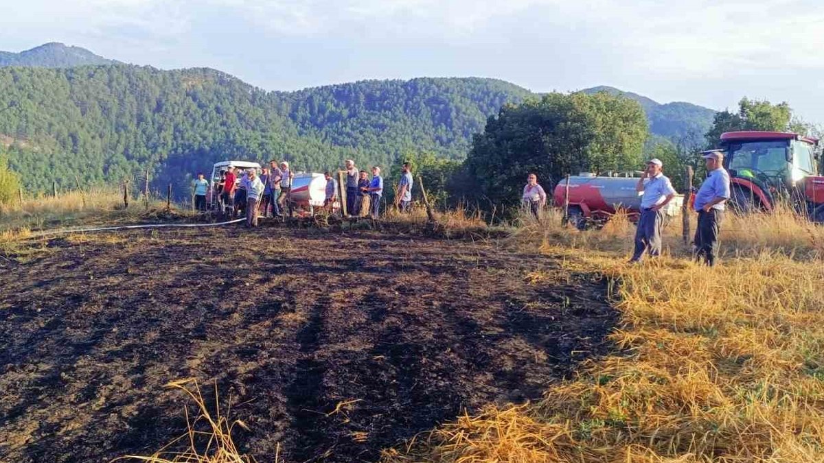 Bolu'da tarla yangınını köylüler söndürdü