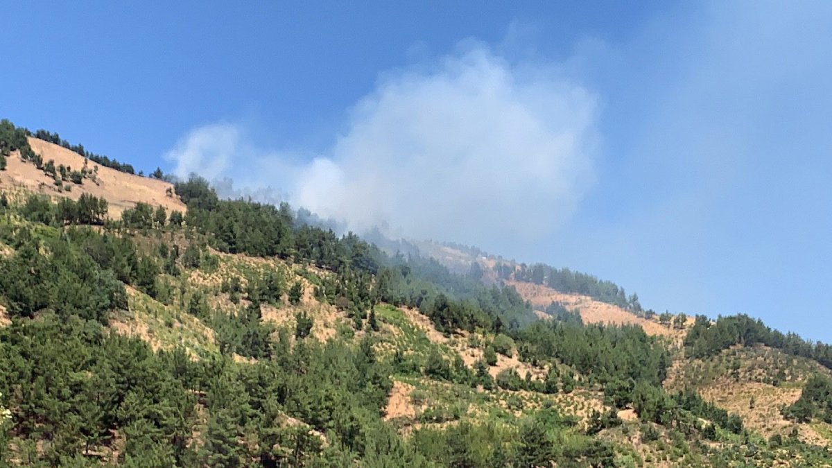 Gaziantep'teki alevler 4 hektar ormanlık alanı küle çevirdi