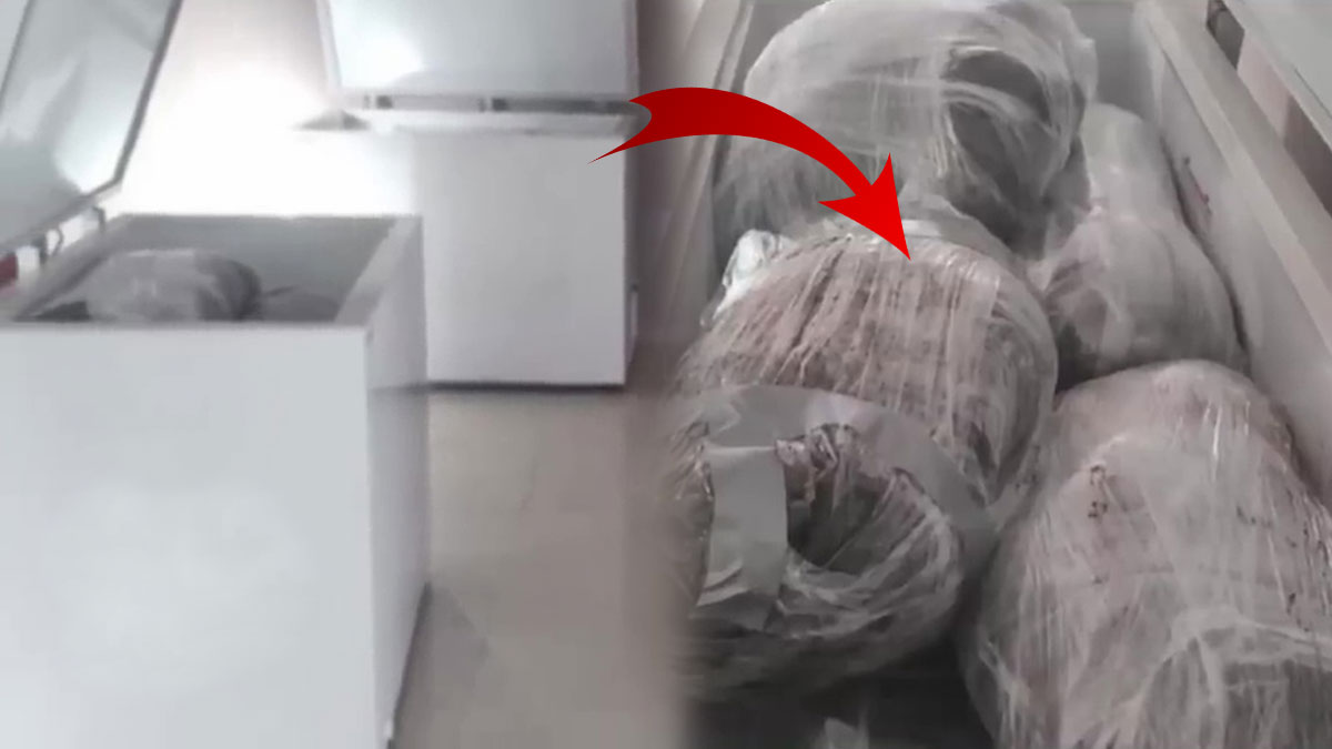 Buzdolabından ceset fışkırıyor! Onlarcası bulundu, dahası da geliyor, kan donduran olay