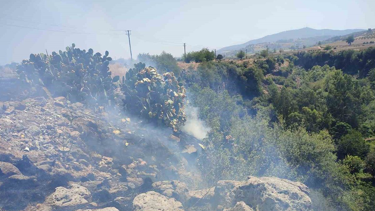 Osmaniye Düziçi'nde orman yangını: Havadan müdahale ediliyor