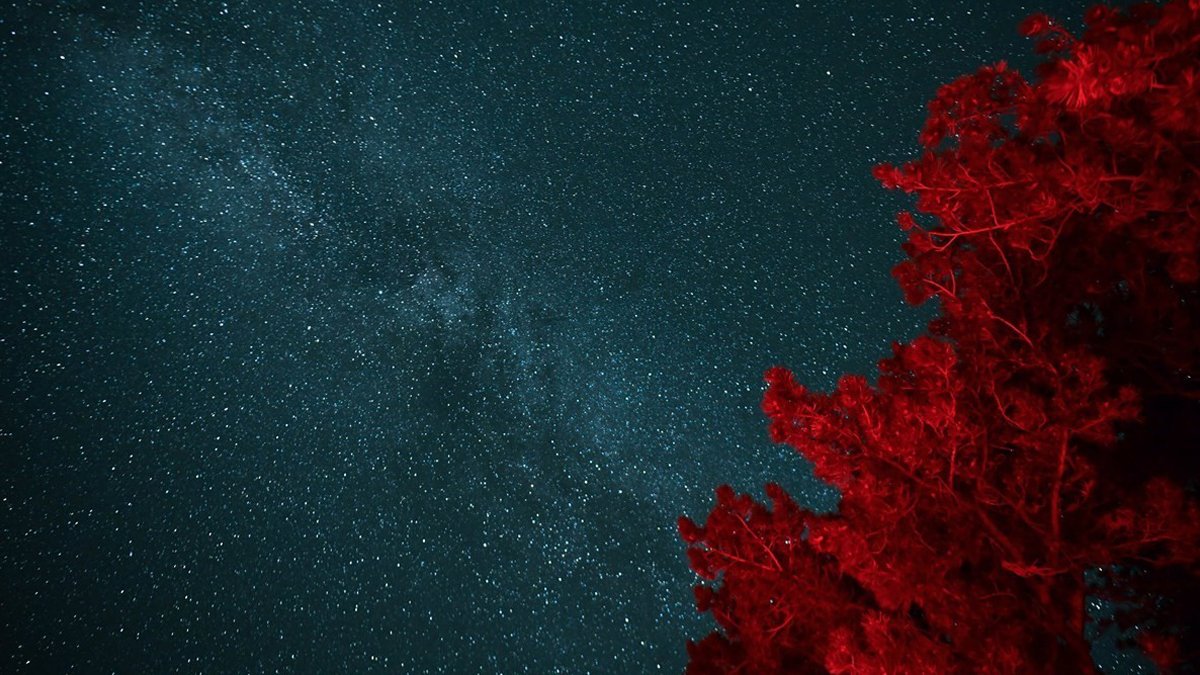 Türkiye'nin en karanlık yerinde gökyüzü gözlem şenliği: 'En az bir kez yaşanması gereken bir deneyim'