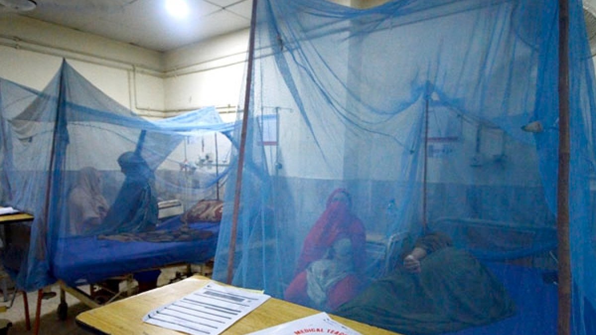 Bangladeş'te 'dang' felaketi: Vakalar 100 bini geçti