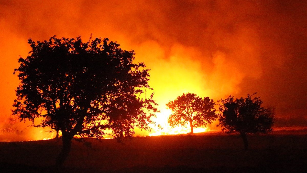 Çanakkale'de orman yangını büyüyor: Köyler boşaltıldı, yollar kapatıldı