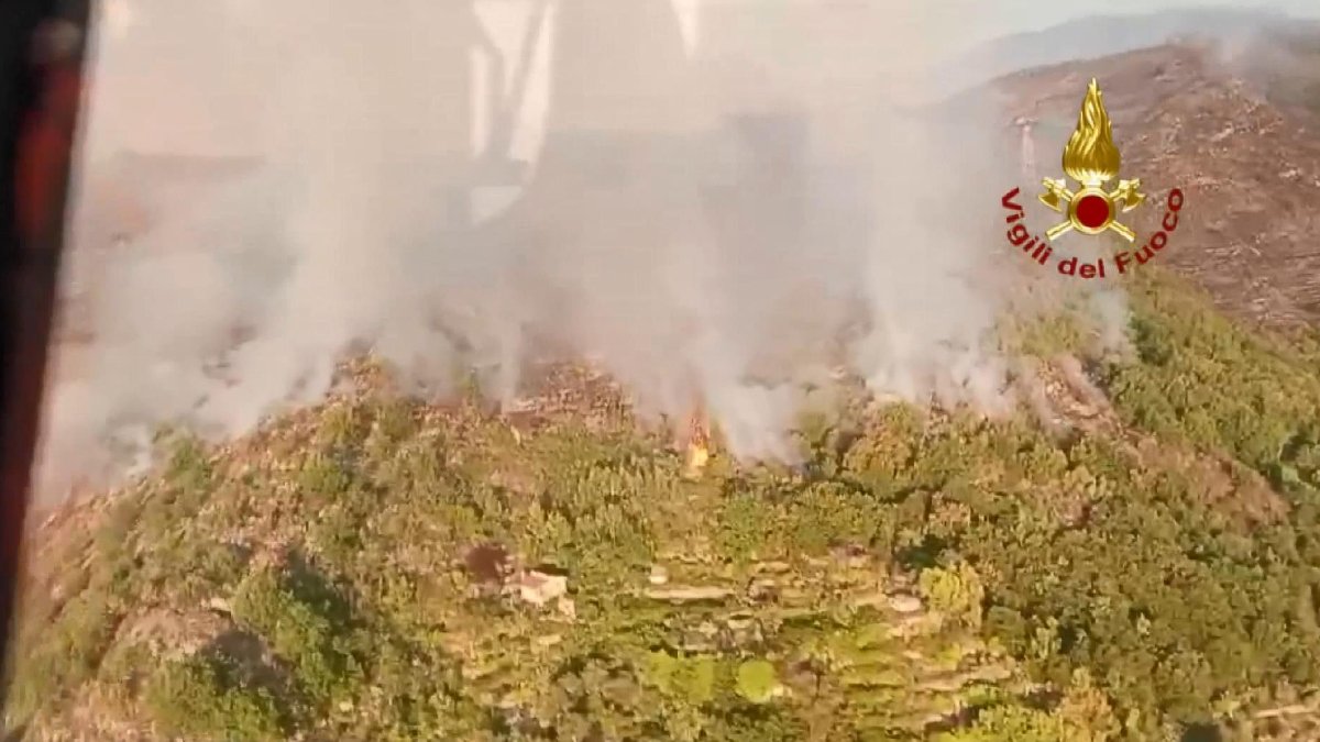 İtalya'da da orman yangını