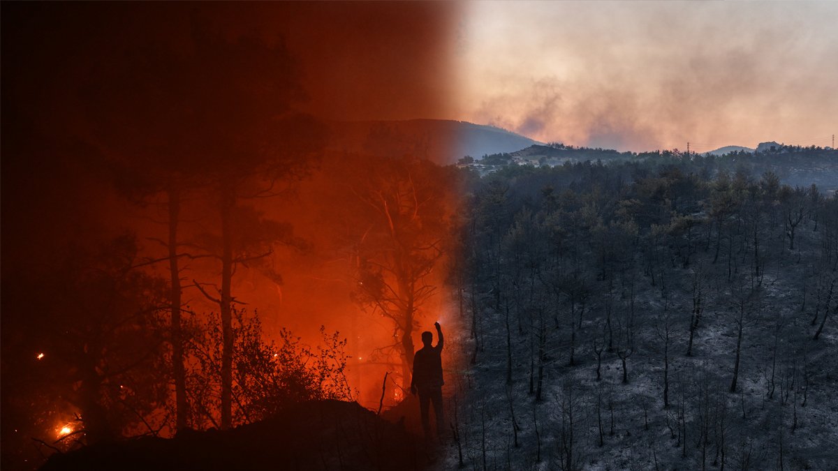 Çanakkale'deki yangında acı bilanço: Sadece ilk 9 saatte...