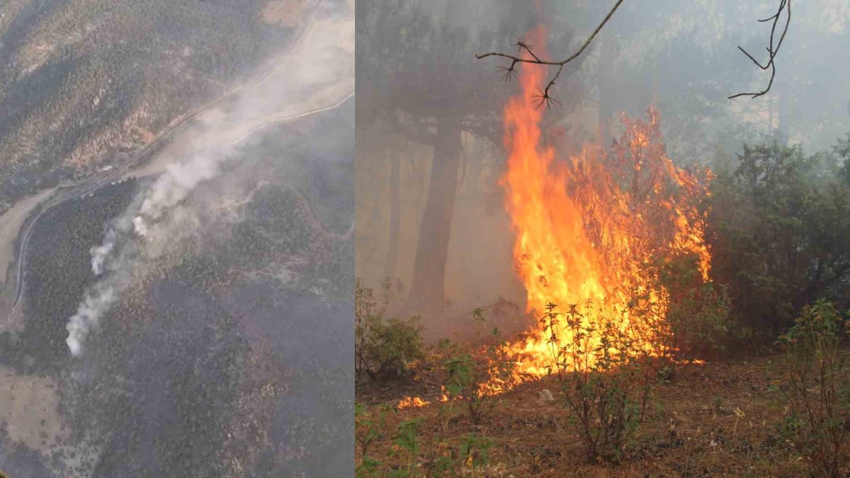 Eskişehir'deki orman yangını kontrol altında