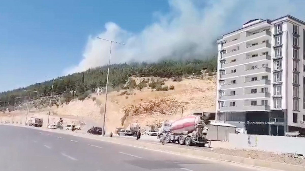 Kahramanmaraş'ta orman yangını