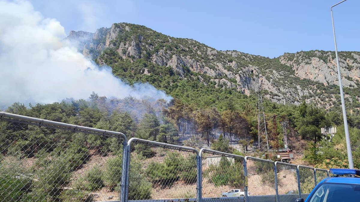 Bilecik'te bir orman yangını daha