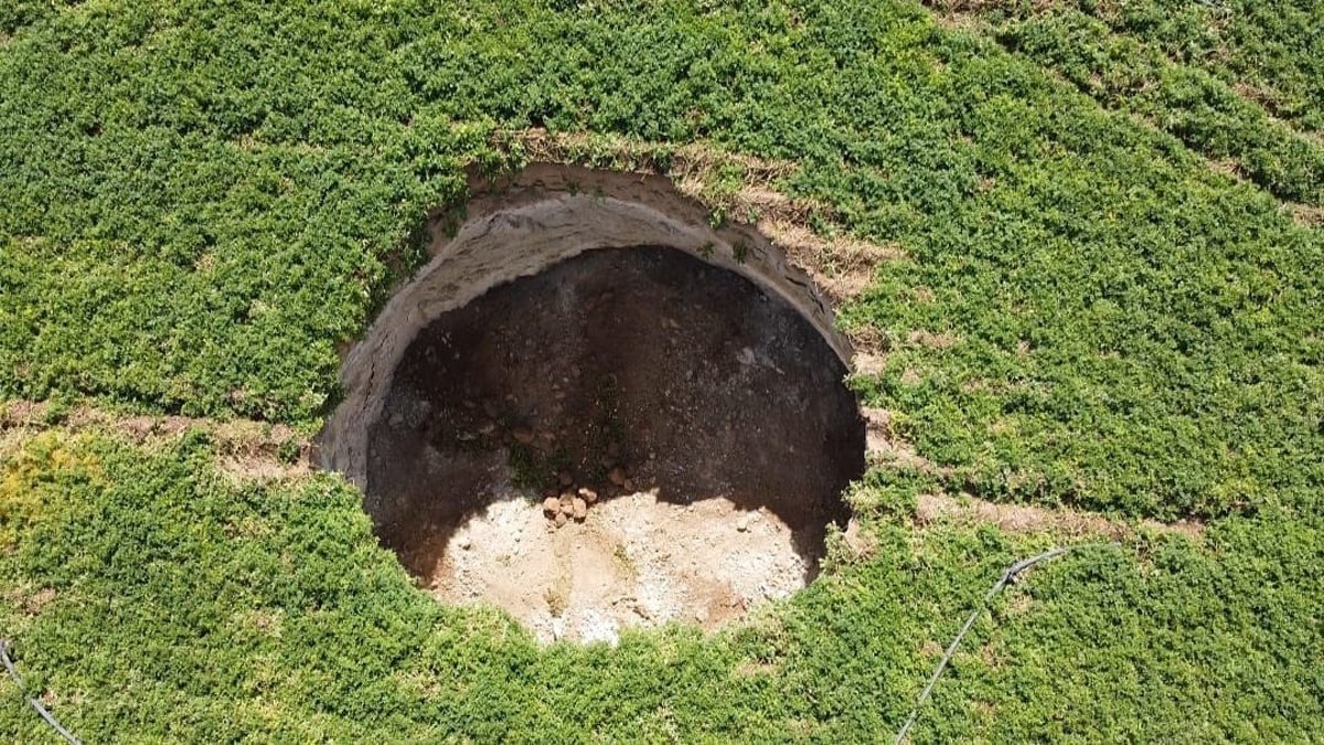 Tarlada korkutan manzara: Akşam fark ettiler sabah hayrete düştüler