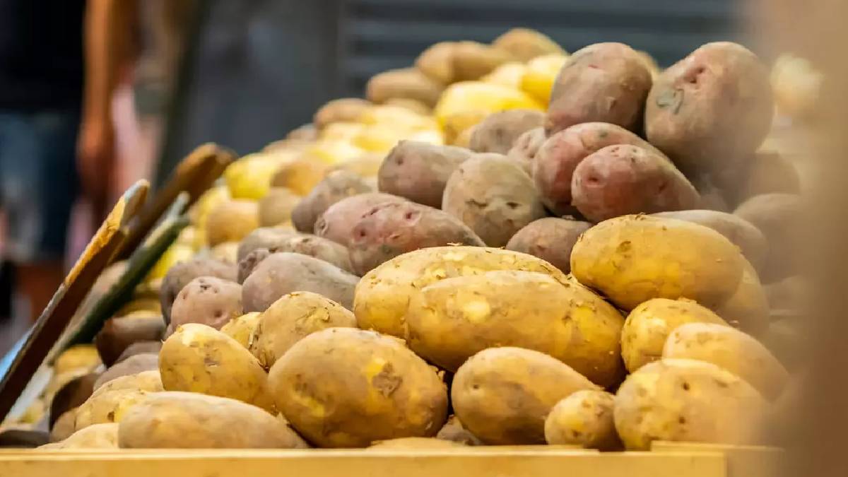 Kızartmalık ve yemeklik patatesi ayırmak bu kadar basitmiş! Kimse ona dikkat etmiyor: Tüm sır kabukta…