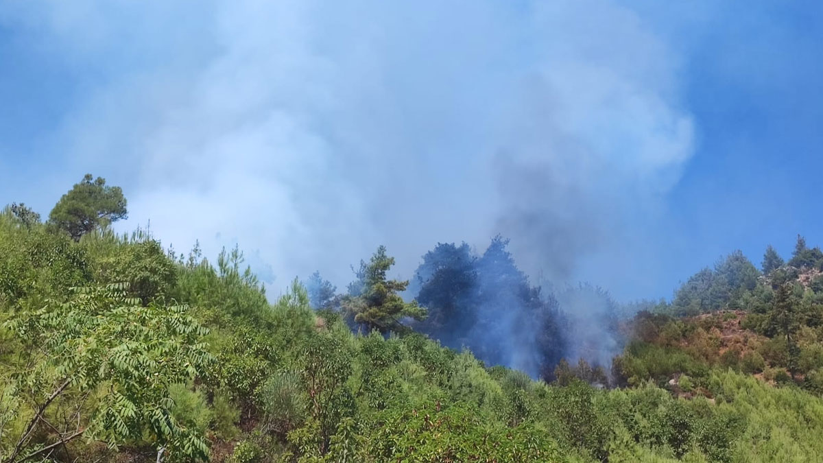 Adana Feke'de orman yangını kontrol altında