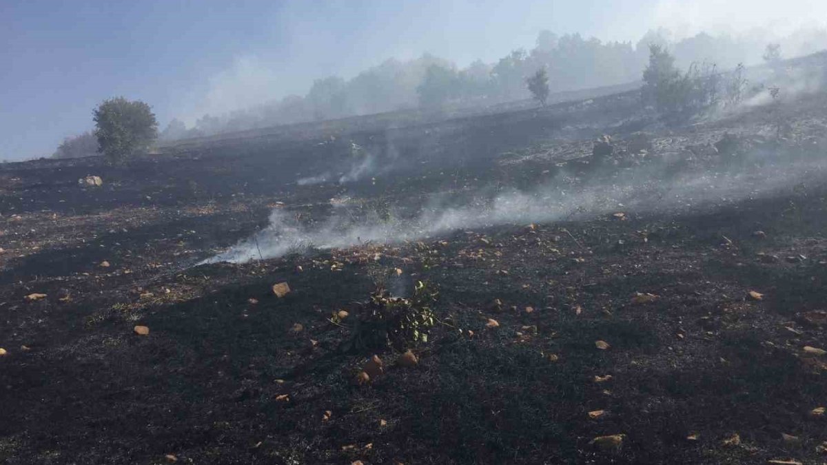 Diyarbakır'daki yangın 10 saat sonra kontrol altında