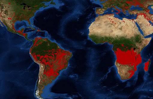 Mevsimler 3’e inecek! El Nino sonunda orayı vurdu: Kıyamet alameti gerçekleşiyor