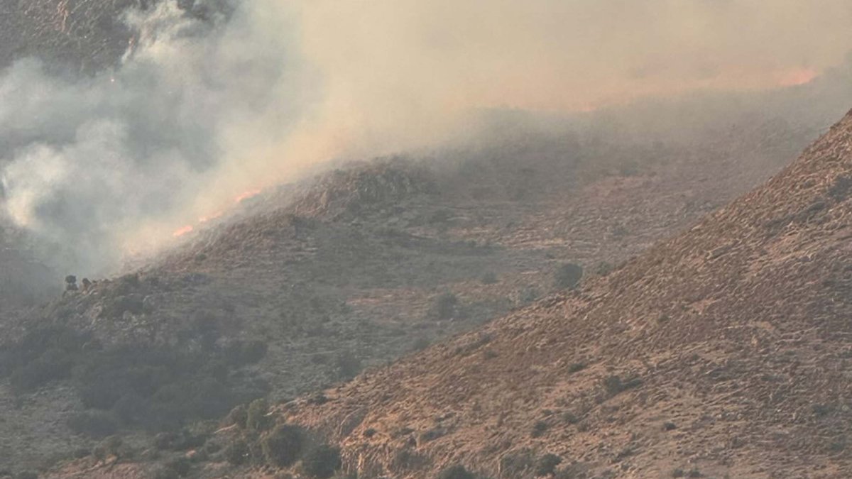 Bodrum'da maki yangını