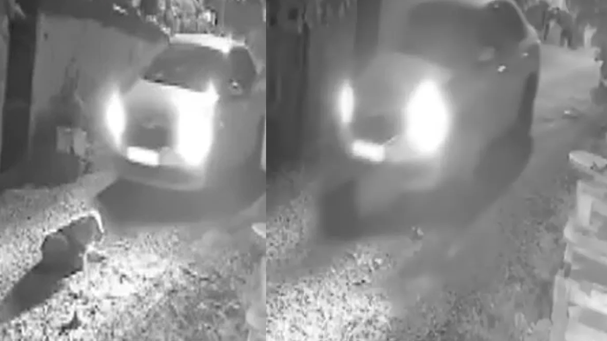 Ezdiği köpeği çığlıklar içinde bıraktı: Çığlıklara mahalleli ayağa kalktı onun vicdanı nasıl el verdi?