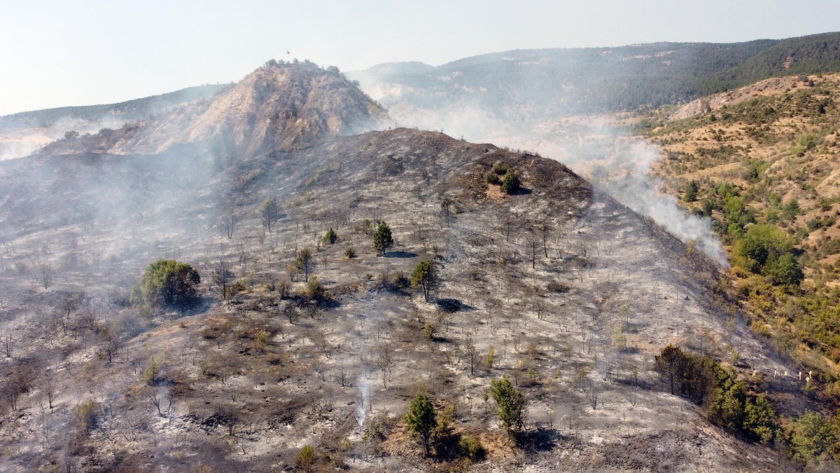Çankırı'daki alevler kontrol altında: Soğutma çalışmaları sürüyor
