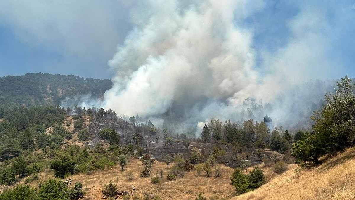 Çankırı'da orman yangını: Havadan müdahale sürüyor