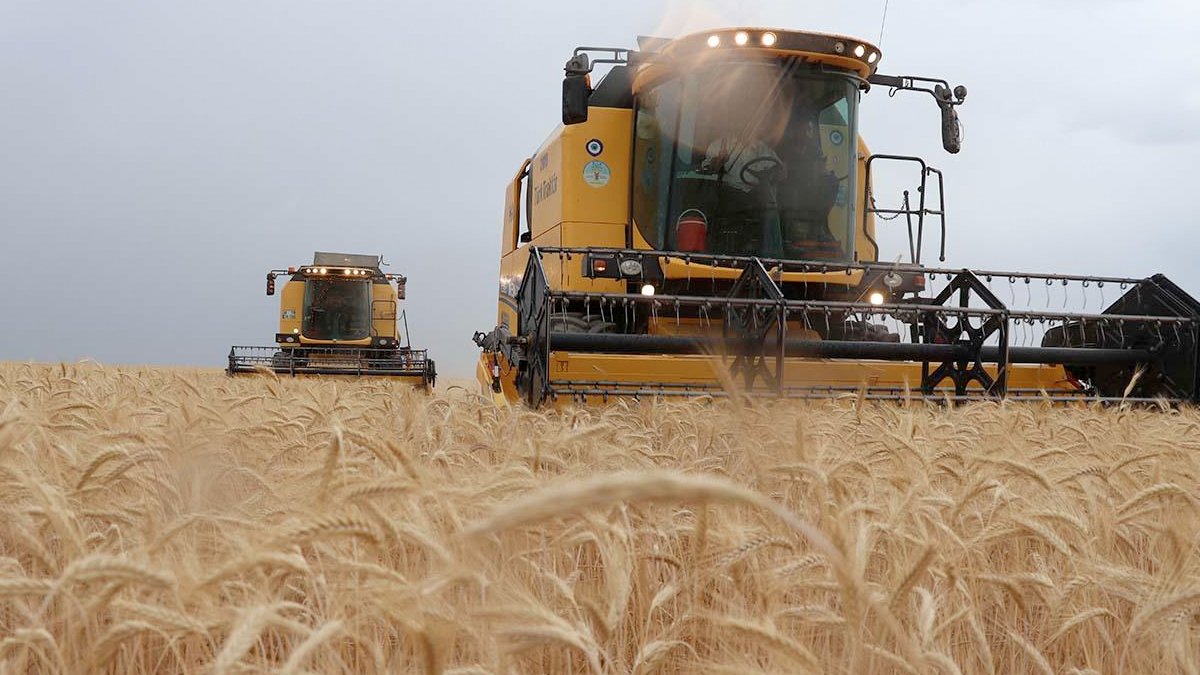 Toprak Mahsulleri Ofisi'nden ürün alım rekoru