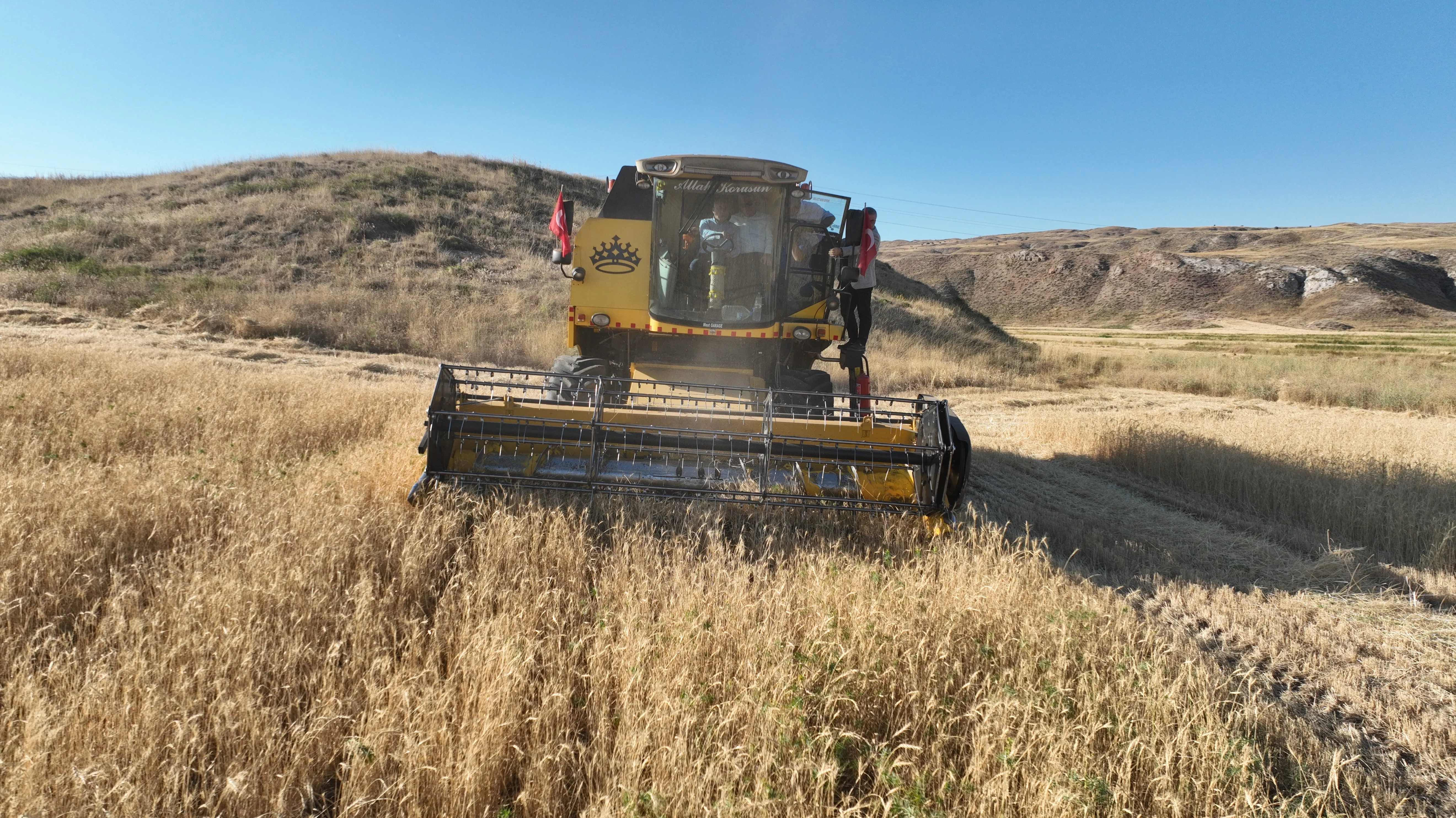 Metruk binada bulduğu tohum bereket yağdırdı! Sivaslılar tarla tarla ekiyor