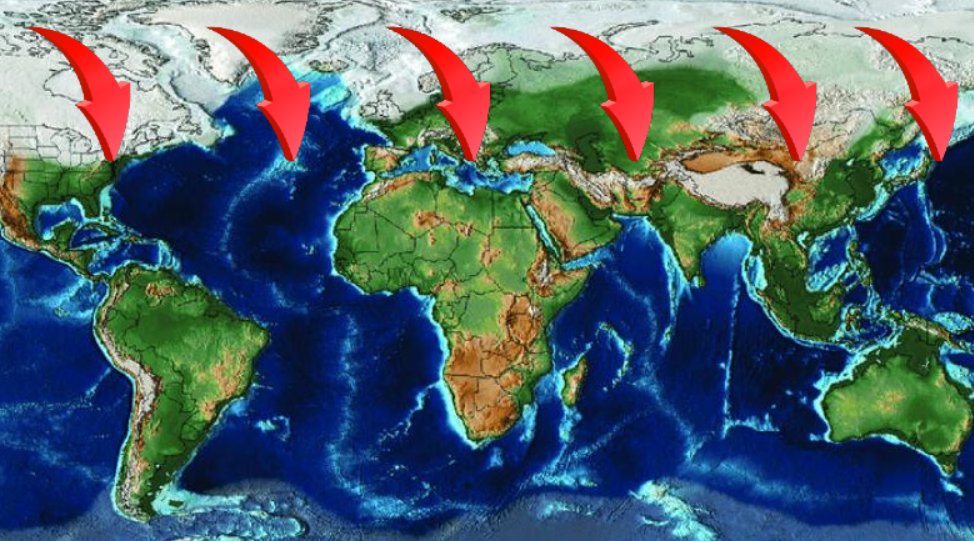 Felaket o canlıyı da vurdu! Artık üremiyor… Biz dahil tüm canlılar tehlikede