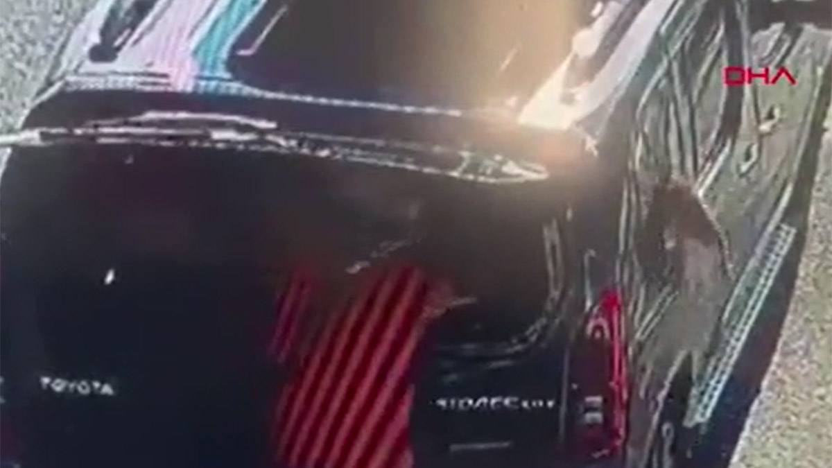 Kısırlaştırılmaya götürülen kedi camı kafasıyla kırıp kaçtı