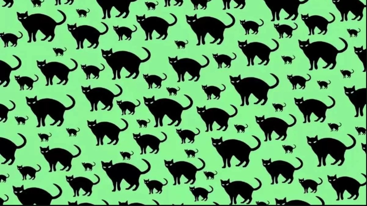 Bu zeka bulmacası herkesin beynini yaktı! Kedilerin arasında saklanan fareyi 8 saniyede kimse bulamıyor