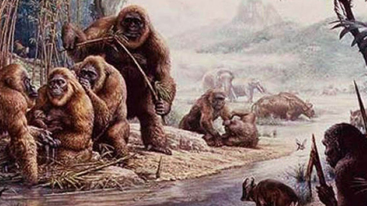 O ilimizde insanımsı bir maymun türü keşfedildi! Milyonlarca yıl öncesine ışık tutacak