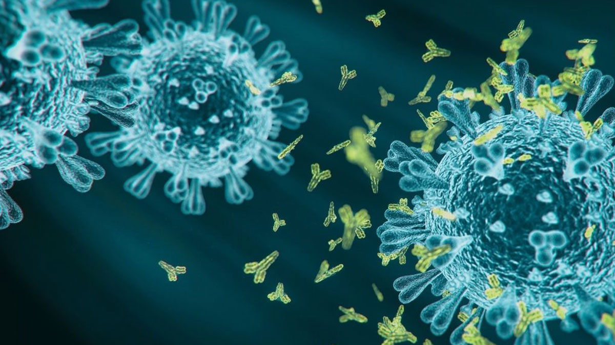 TTB'den koronavirüsün yeni varyantlarına karşı uyarı: Ekim ayında hastaneler dolabilir