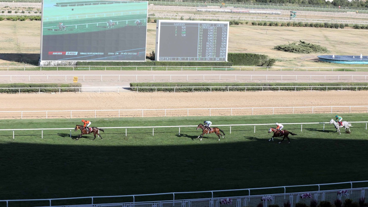 Başkanlık Koşusu’nun kazananı Taylolo oldu