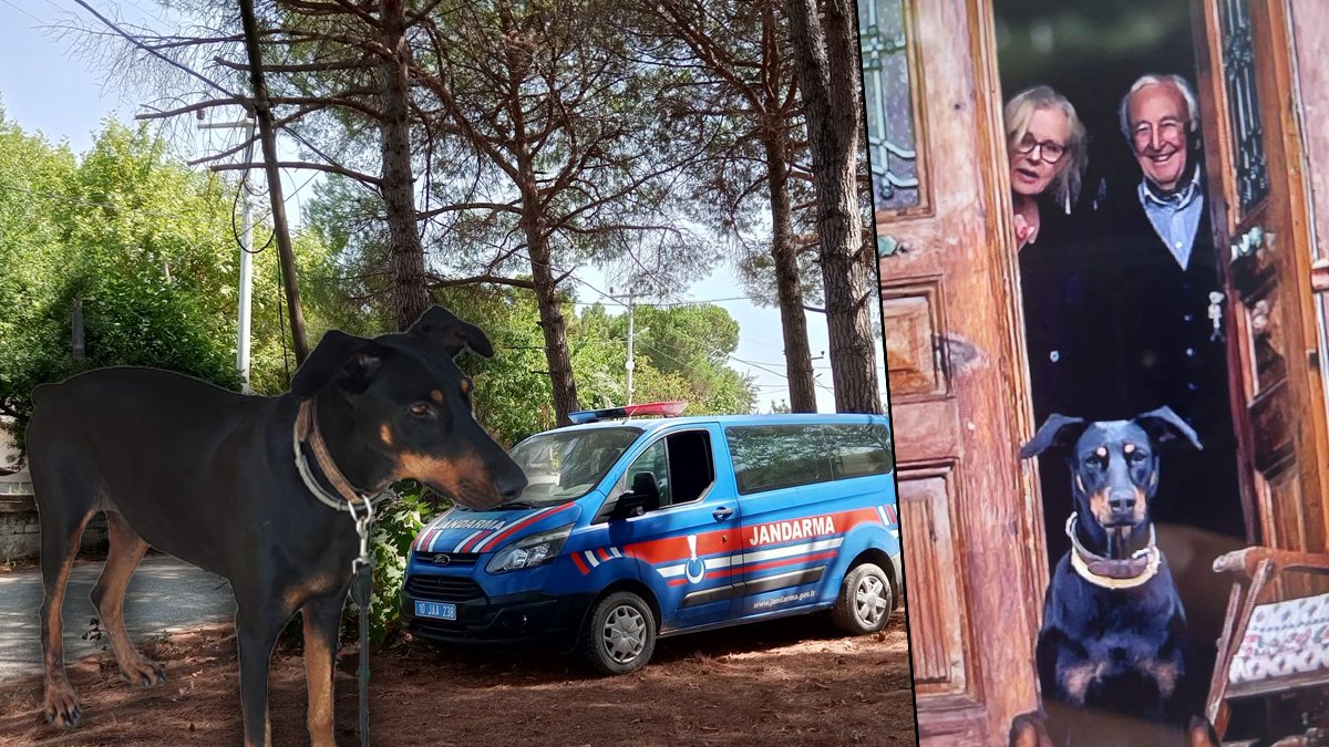 Tina hakkında dikkat çeken ayrıntı: Kilo kaybı yok, tüyleri tertemiz