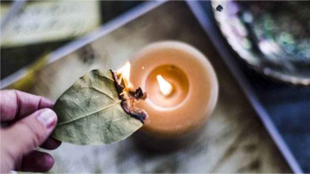 Mutfağınızda o yaprağı yakıp 15 dakika bekletin! Mucize değil gerçek…