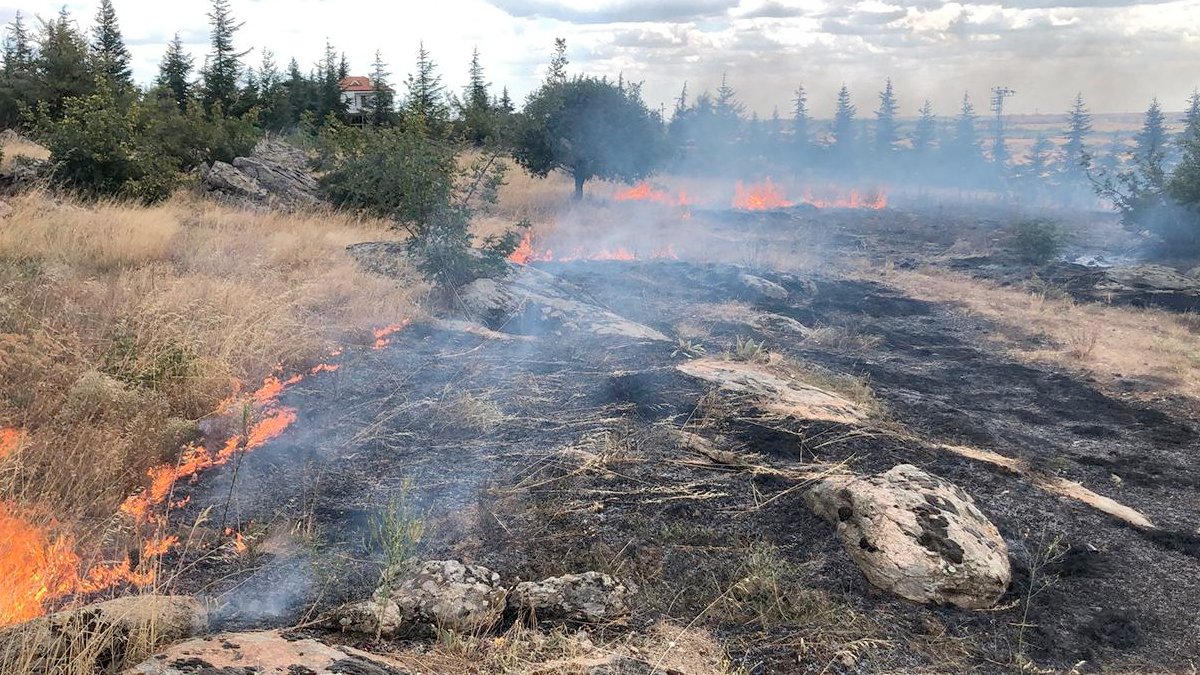 İstanbul'da otluk alanda yangın