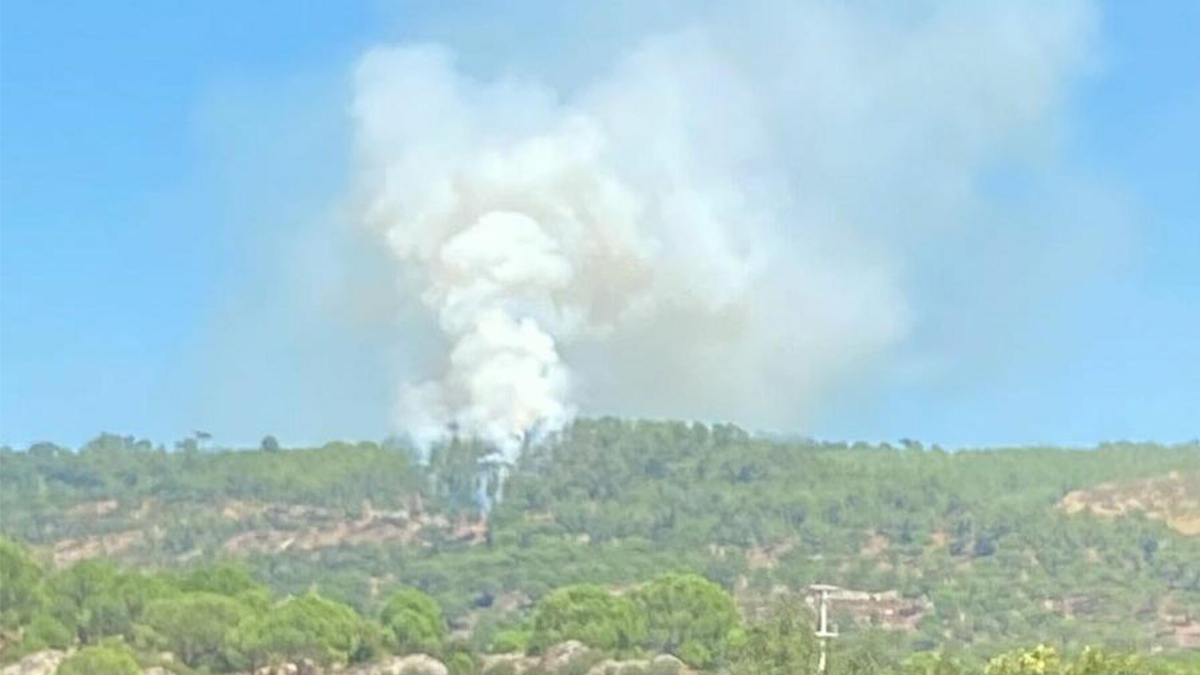 4 ilde orman yangını: Ekipler havadan ve karadan müdahale etti