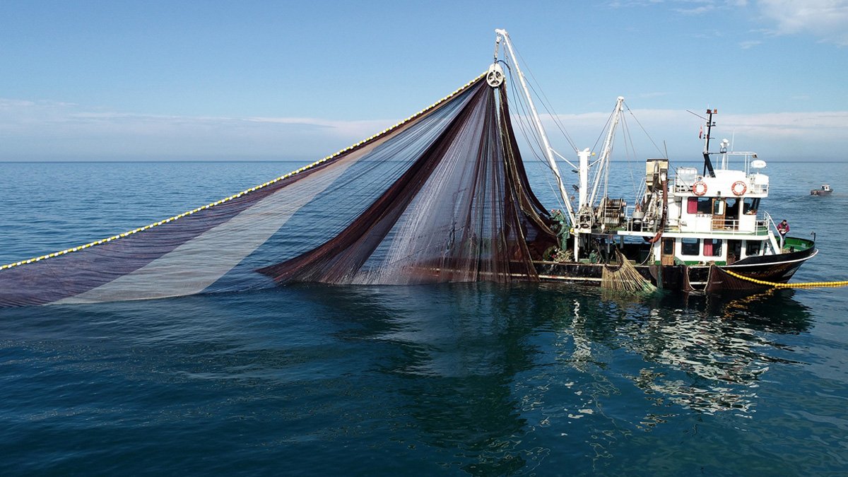 Burası Pasifik Okyanus'u değil Karadeniz! O balığı görürseniz hemen topuklayın: Türkiye'nin en ölümcülü