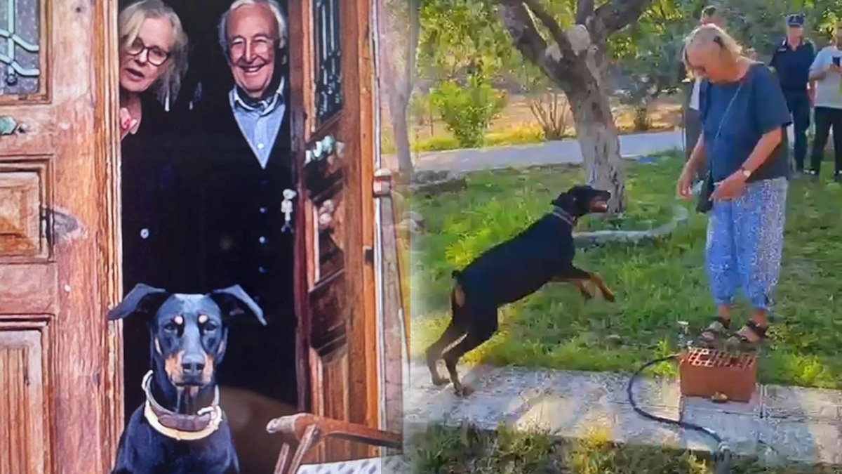 Korhan Berzeg olayında duygu dolu anlar: Tina ile Angela 77 gün sonra...