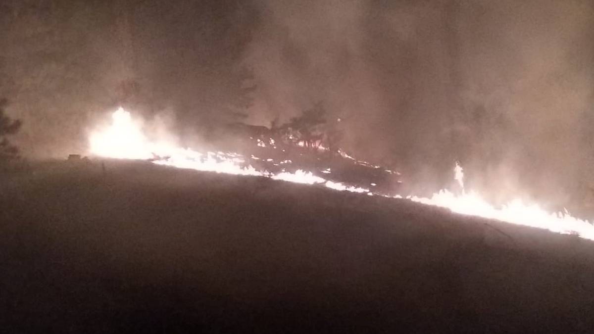 Muğla'da orman yangını: Gece saatlerinde başlayan yangın kontrol altında
