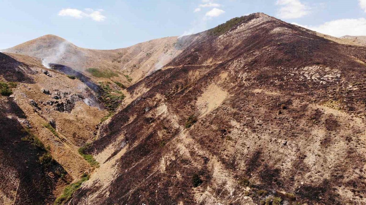 Bitlis'te kırsal alanda yangın