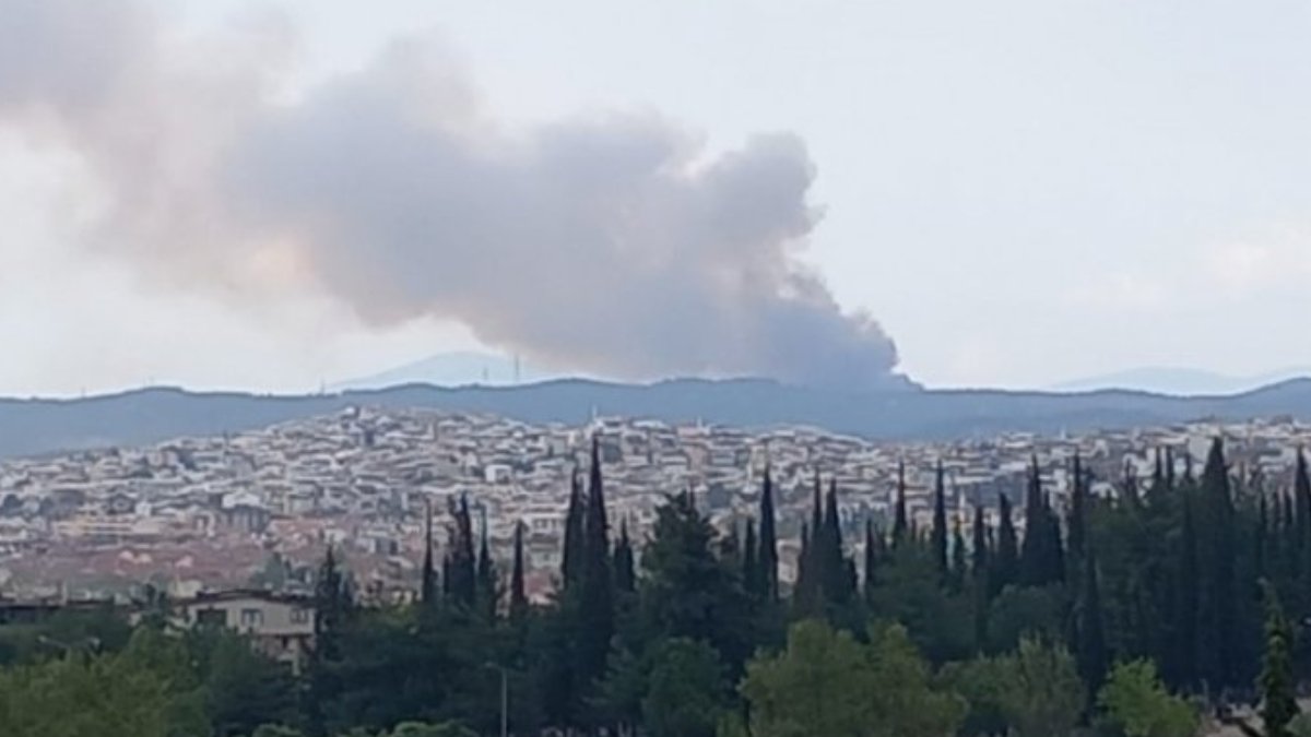 Bursa'da orman yangını: Ekiplerin müdahalesi sürüyor