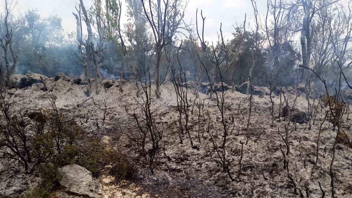 Bahçe temizliği yaparken orman yangınına neden oldu
