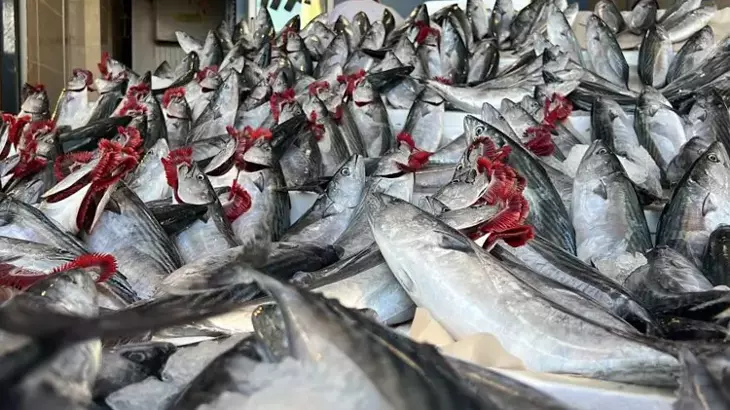 Balık fiyatları adeta çakıldı! Tarih verildi! O tarihten itibaren daha da düşecek...