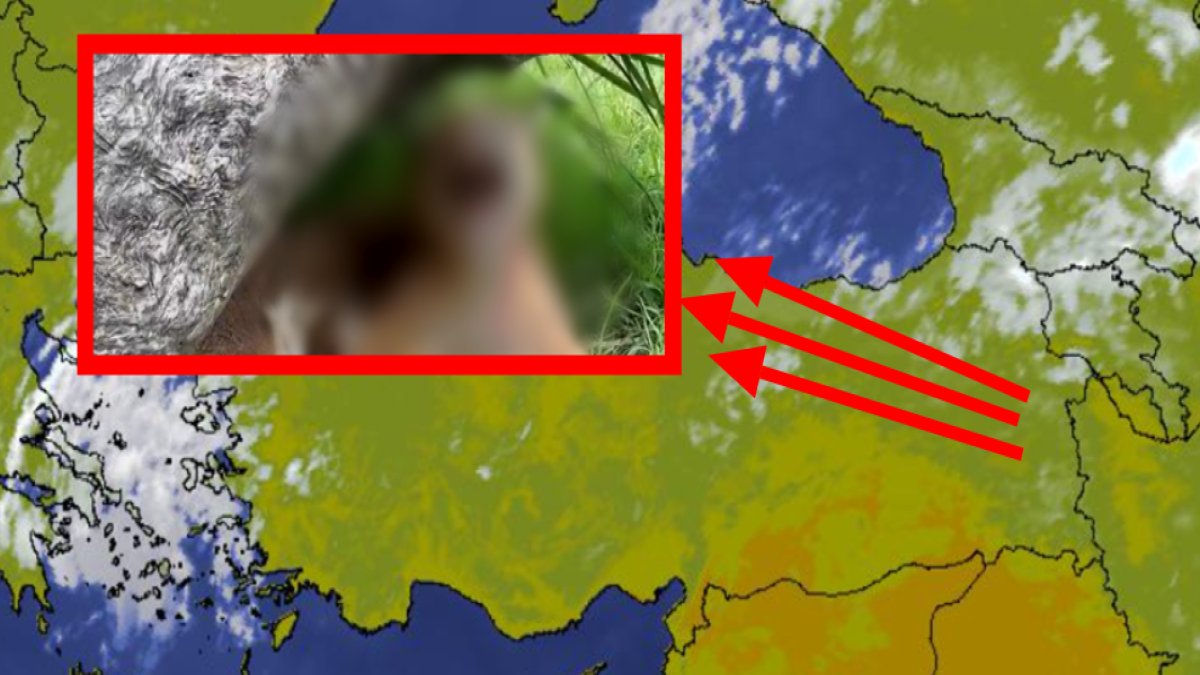 Ağrı, Ardahan, Bingöl, Bitlis, Elazığ, Erzincan, Erzurum, Hakkari, Kars... Türkiye'nin vahşisi! O anları görüntülendi!