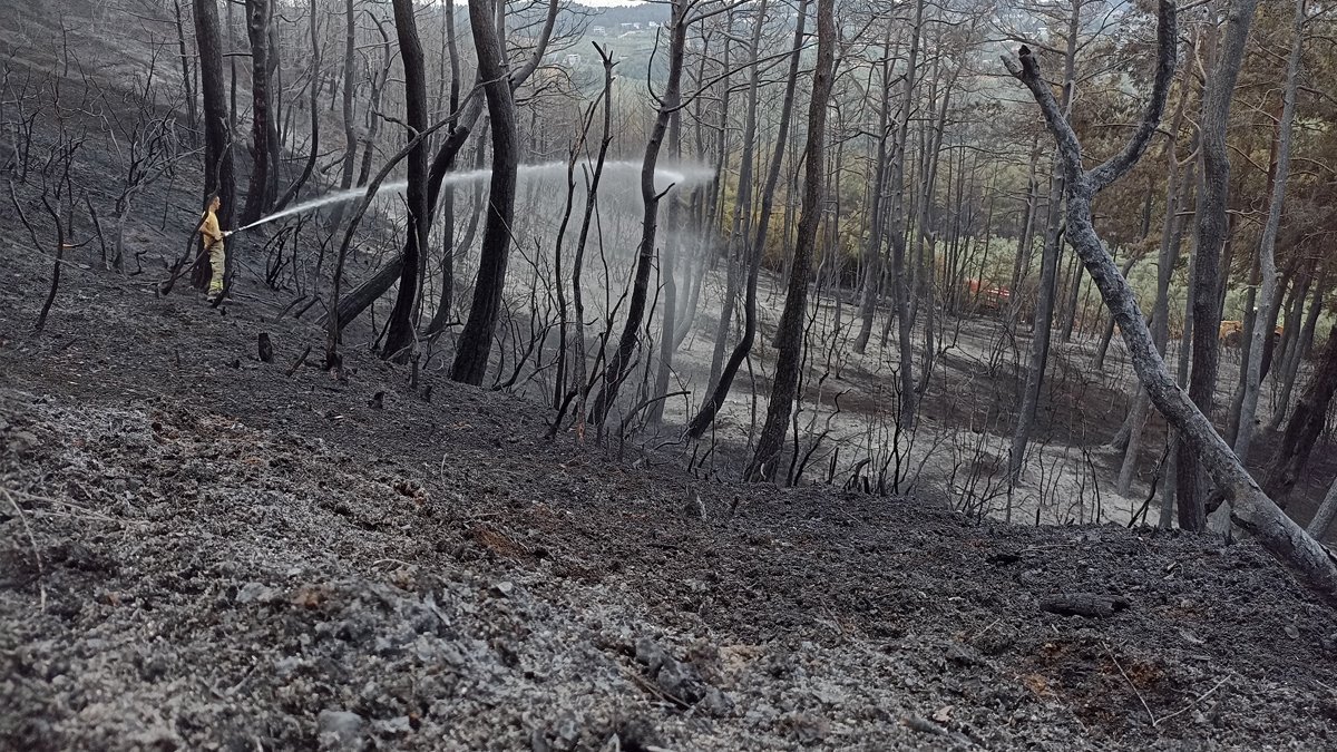 17 saat sonra güzel haber: Bursa'daki orman yangını kontrol altında