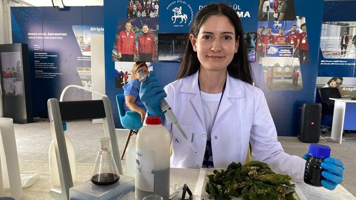 Öğrenciler deniz marullarını hidrojen enerjisine dönüştürüyor