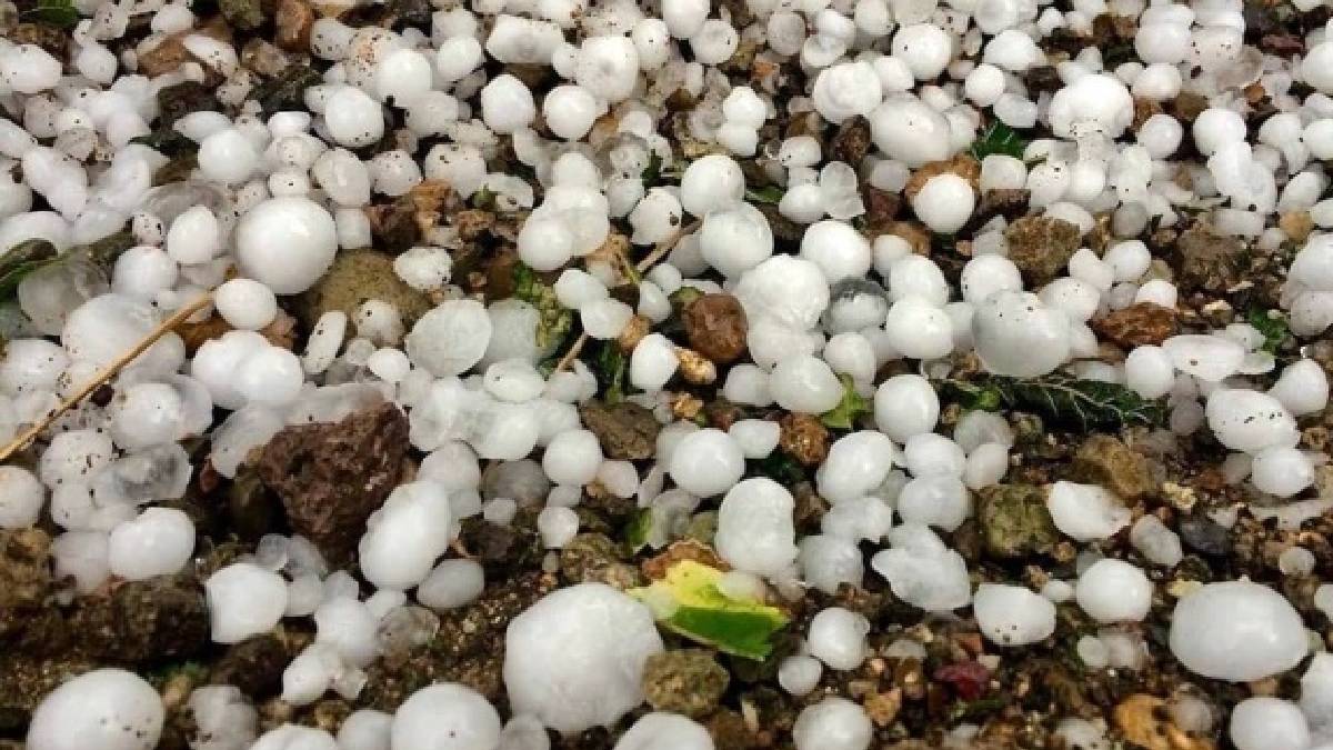 Sonbaharın ilk mahsulleri koca koca yağdı! Kafanıza gelse resmen yarar… El Nino'dan sonra şükredeceğiz