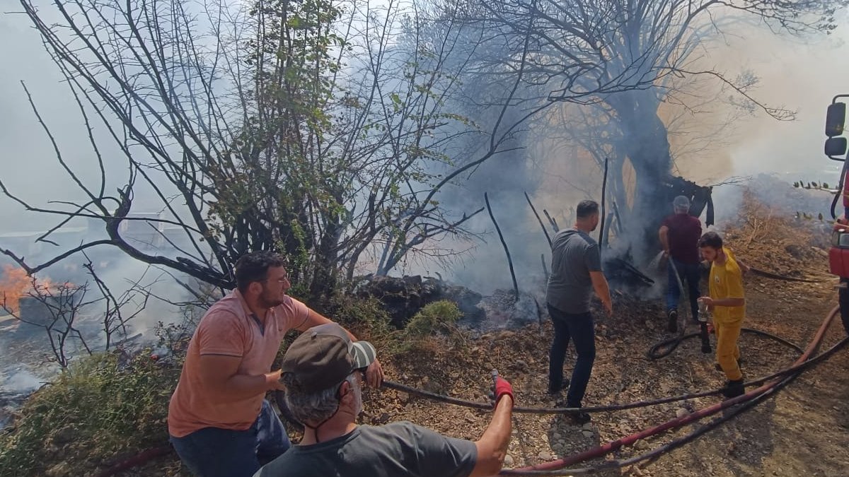 Ormanlar her gün yanıyor... 5 ilde alevler yükseldi